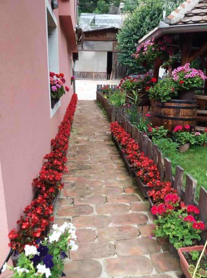 Valja Mare Moma Apartamento Golubac Exterior foto