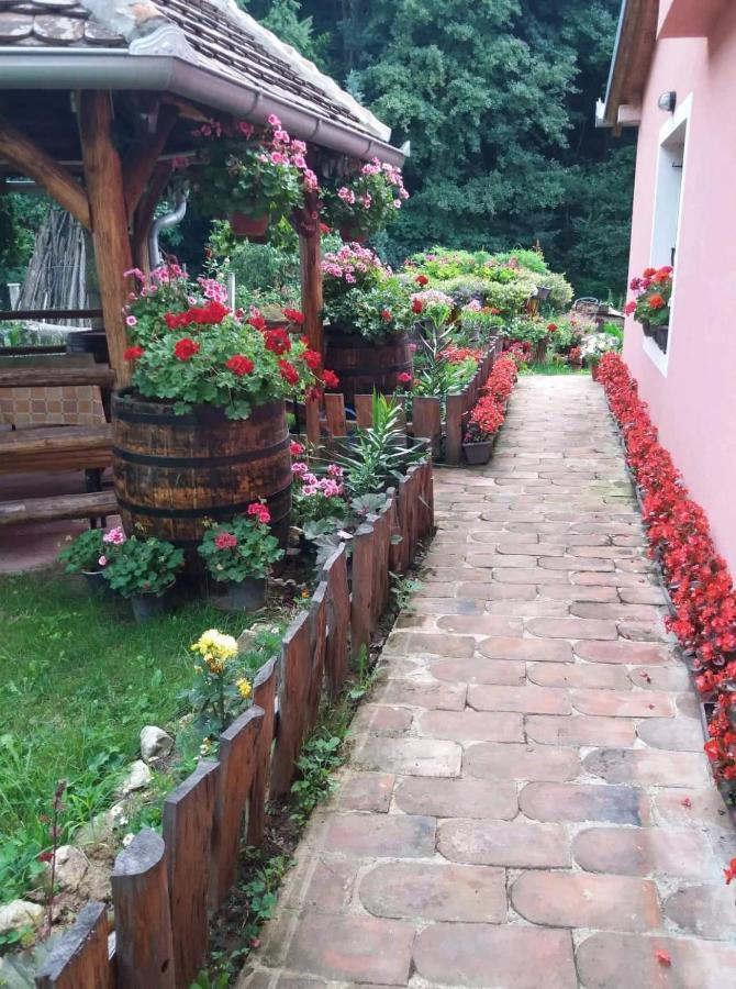 Valja Mare Moma Apartamento Golubac Exterior foto